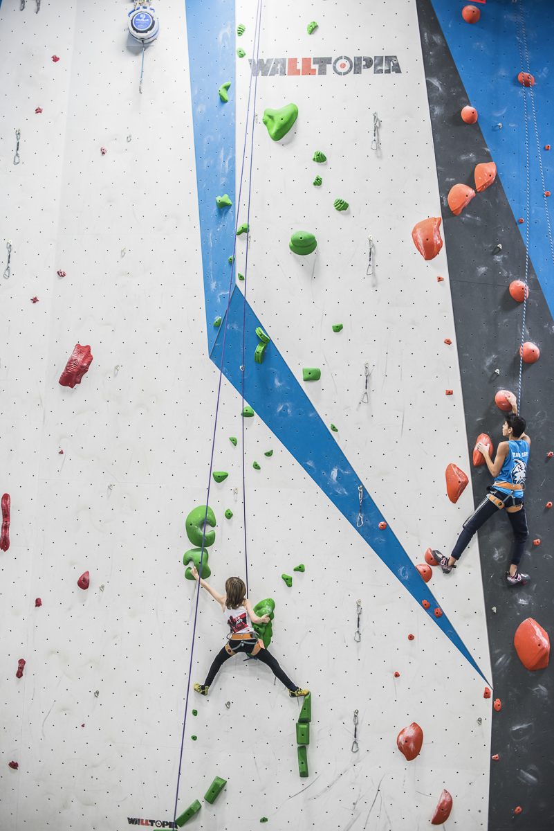 24964607463_9b1e5d9bd6_o