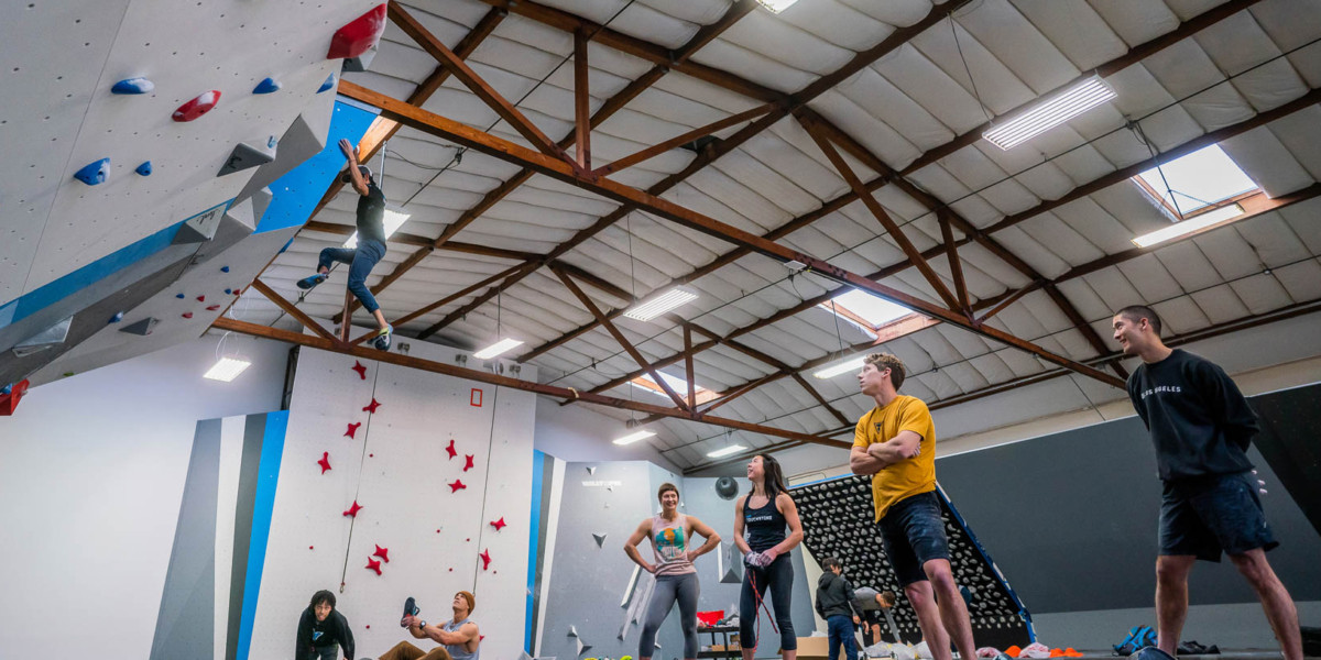 a group of young people in a climbing gym, bouldering together