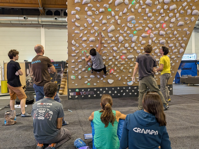 quantum board walltopia