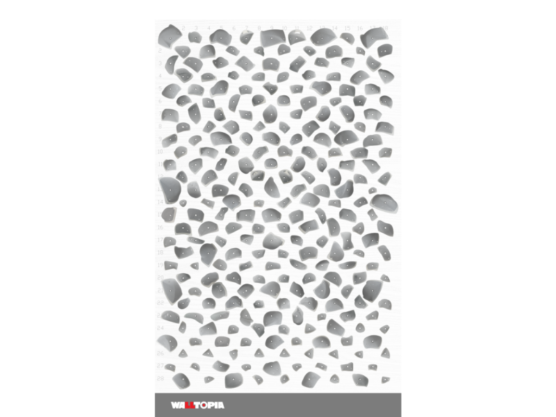 Quantum Board S_Fitness_Front_Layout_5