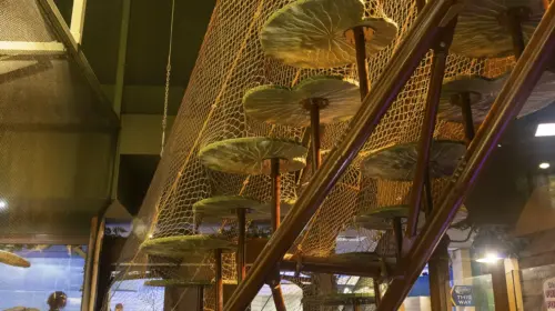 Georgia Aquarium