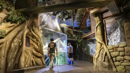 Georgia Aquarium